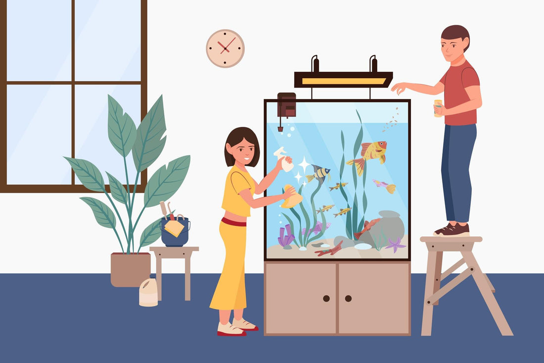 Enhancing Your Home's Feng Shui with Fish: A Guide for New Homeowners