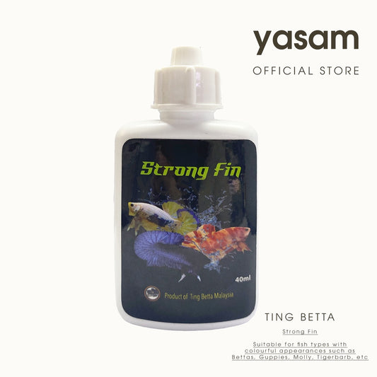 TING BETTA - Strong Fin