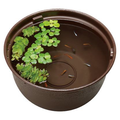 GEX - Medaka Rice Fish, Killifish Plastic Bowl 37cm Black Brown