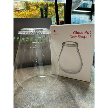 CHIHIROS - Glass Pot Dew with ventilation hole for terrarium aquascape plant nursery orchid culture